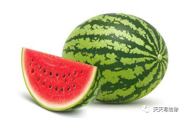 西瓜的描寫