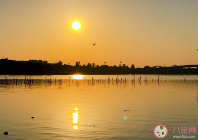 曬太陽表達心情的句子