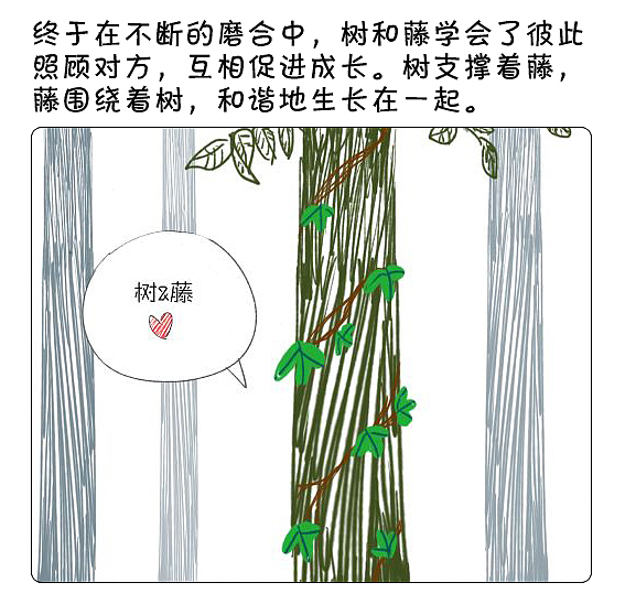 樹和藤的故事