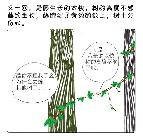 樹和藤的故事