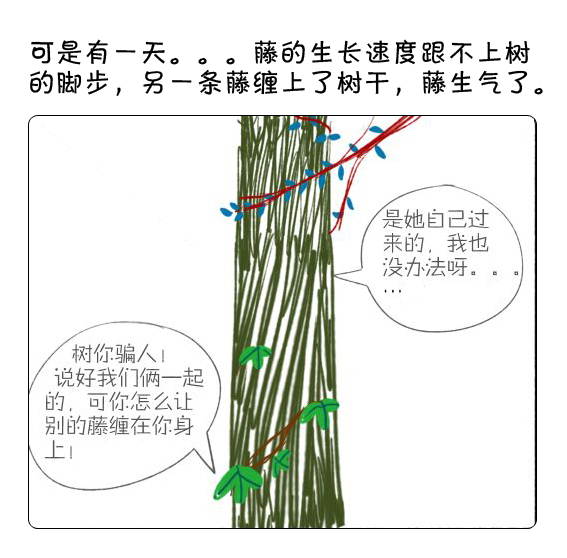 樹和藤的故事